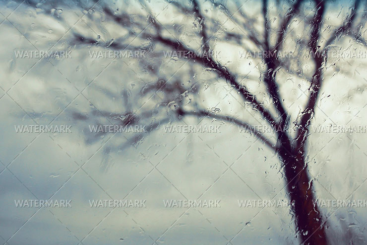 St. Mary & St. Moses Abbey