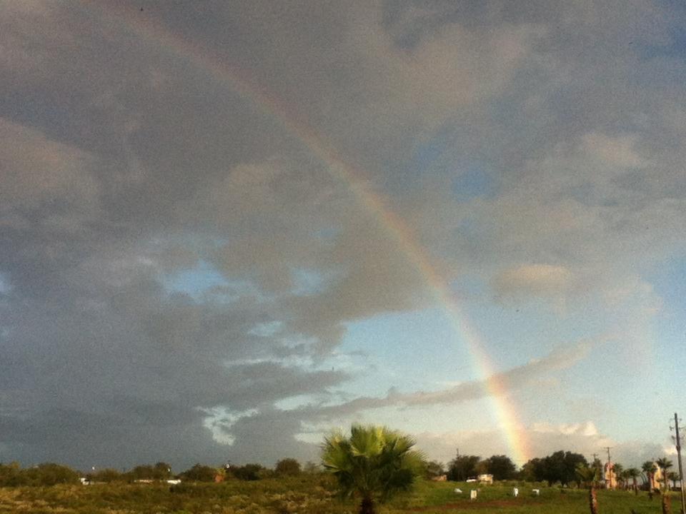 St. Mary & St. Moses Abbey