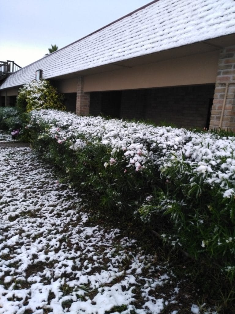 St. Mary & St. Moses Abbey