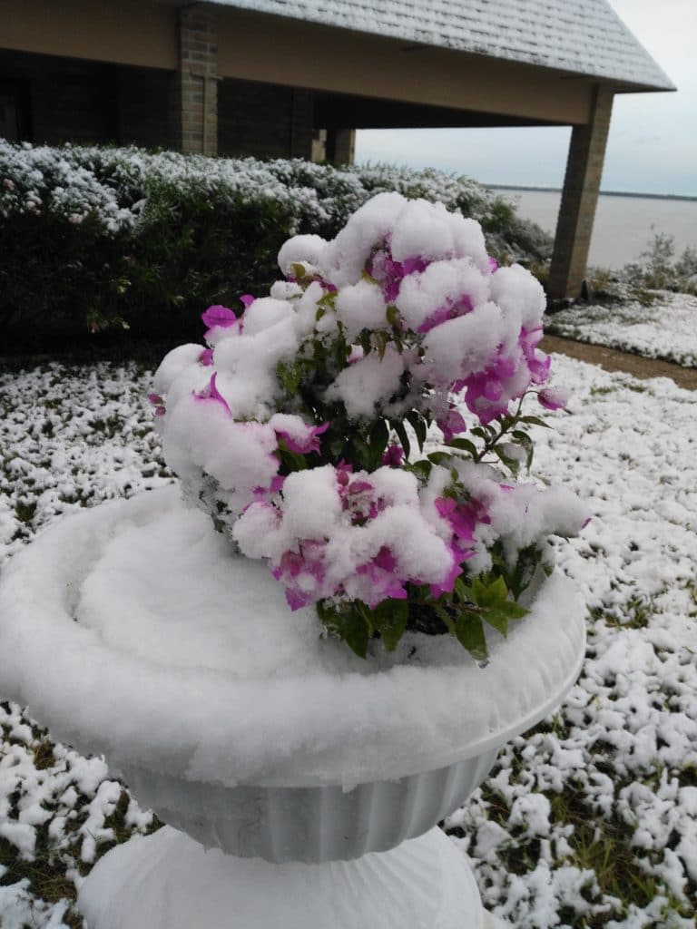 St. Mary & St. Moses Abbey