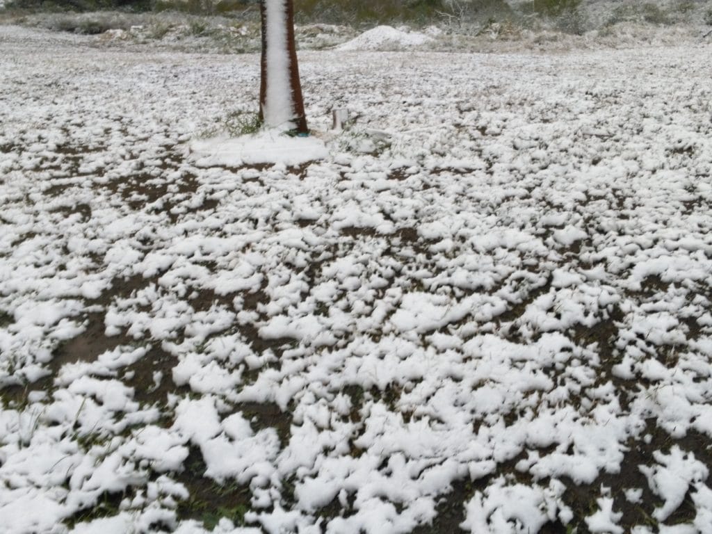 St. Mary & St. Moses Abbey