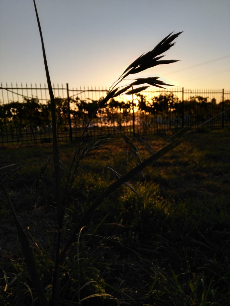 St. Mary & St. Moses Abbey