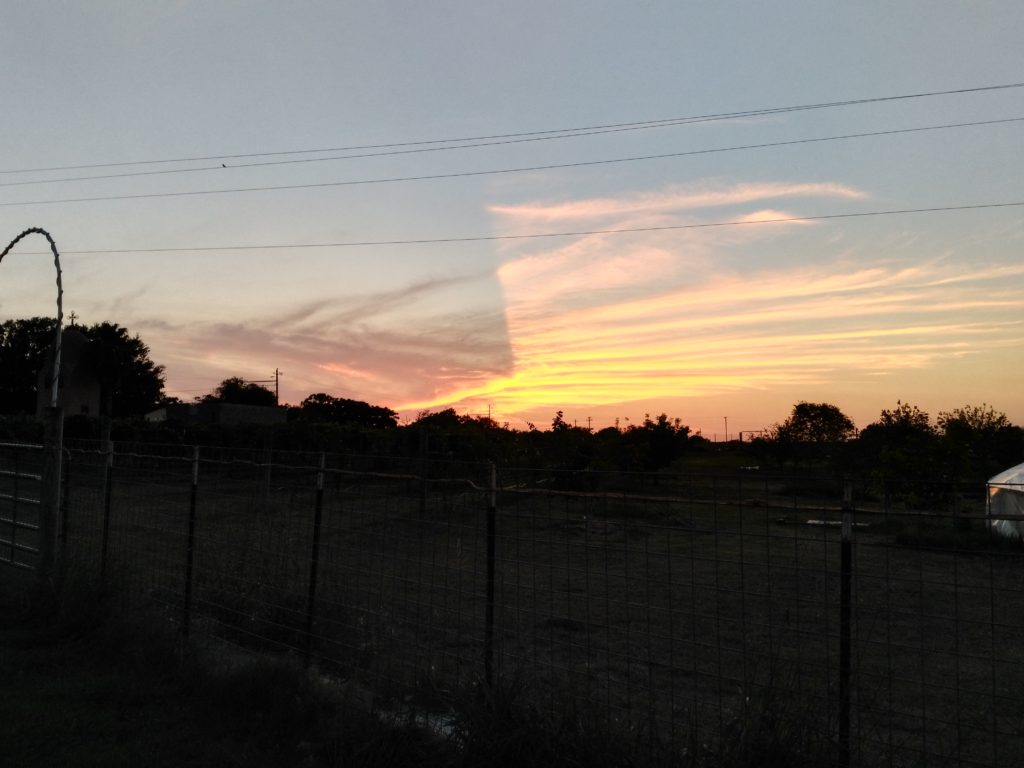 St. Mary & St. Moses Abbey